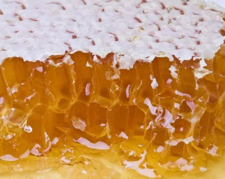 进口天然蜂蜜如何报关？