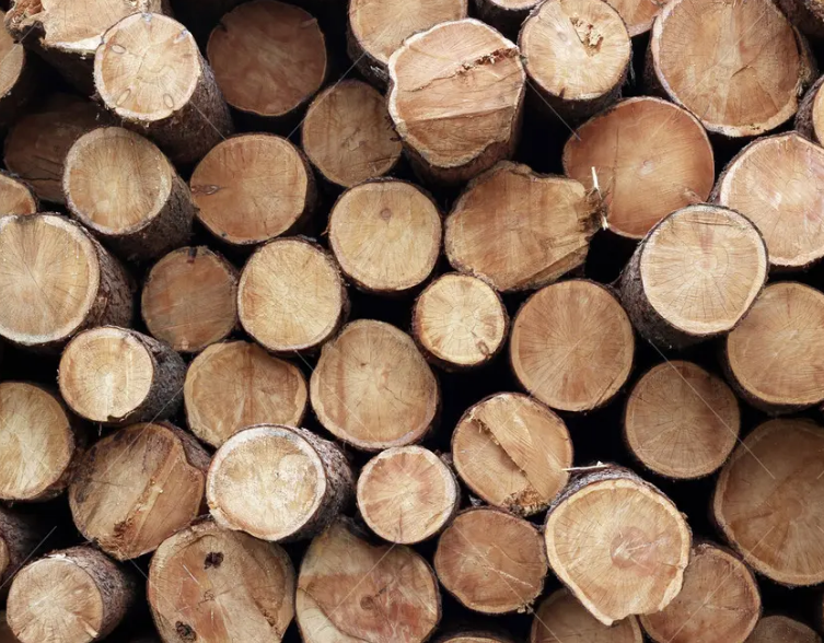 木材进口报关流程有哪些？