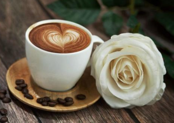 咖啡进口报关流程有哪些?