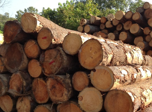 木材进口所需单证资料