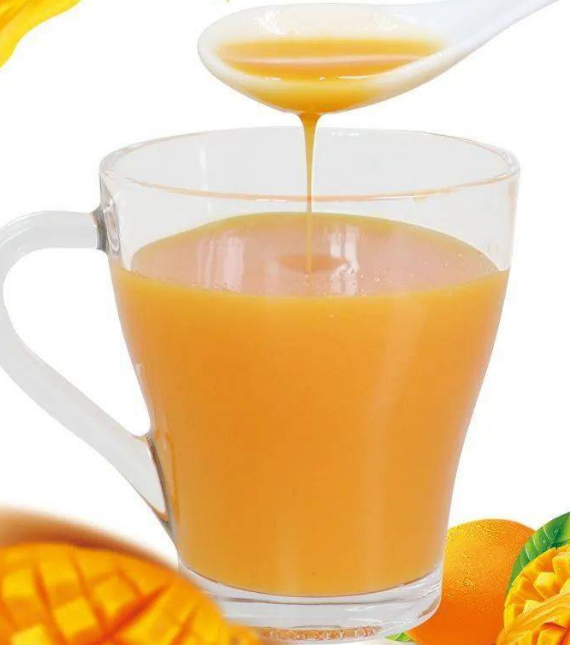 芒果味饮料浓浆进口申报要素及税号