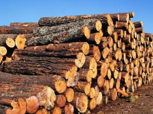 木材进口清关时需要哪些资料？