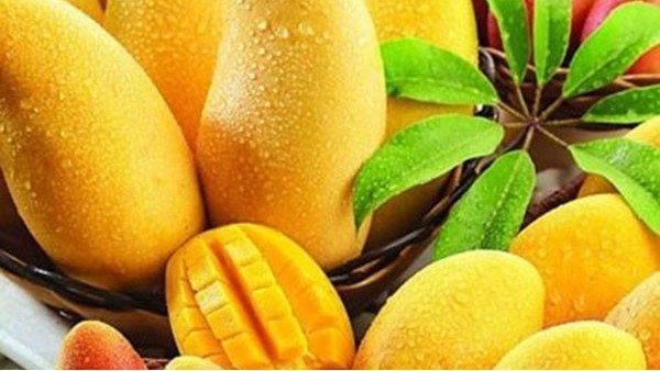 关于进口菲律宾冷冻水果检验检疫要求的公告
