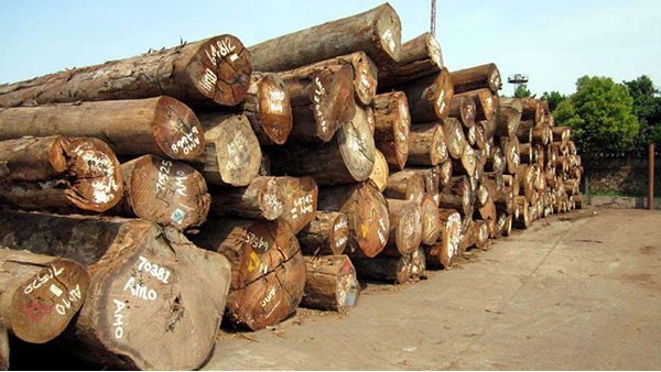 进口木材报关需要什么资料