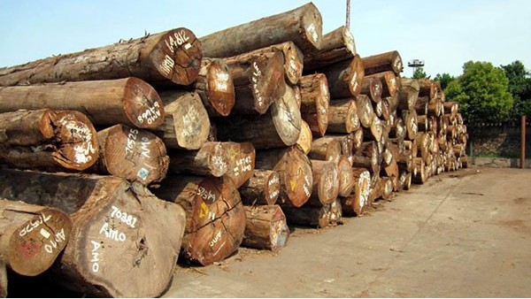 木材进口报关所需资料及流程指南