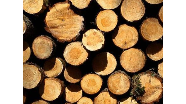 木材进口报关所需要的单证与大致费用