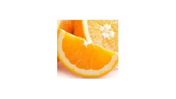 关于进口津巴布韦鲜食柑橘植物检疫要求的公告