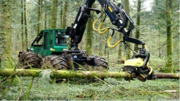 芬兰二手伐木机进口报关代理流程