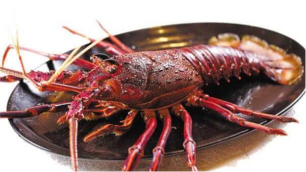 澳洲龙虾进口报关代理流程