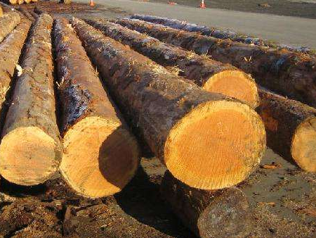 一般贸易下木材进口报关流程是怎样的？