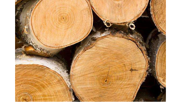常见的各类木材进口清关单证有哪些？