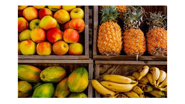 水果进口报关|水果进口需要什么单证手续?