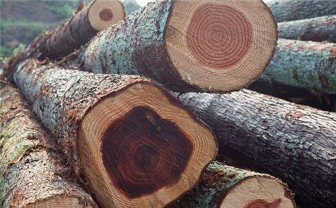 代理木材进口报关|木材进口报关公司哪家好?